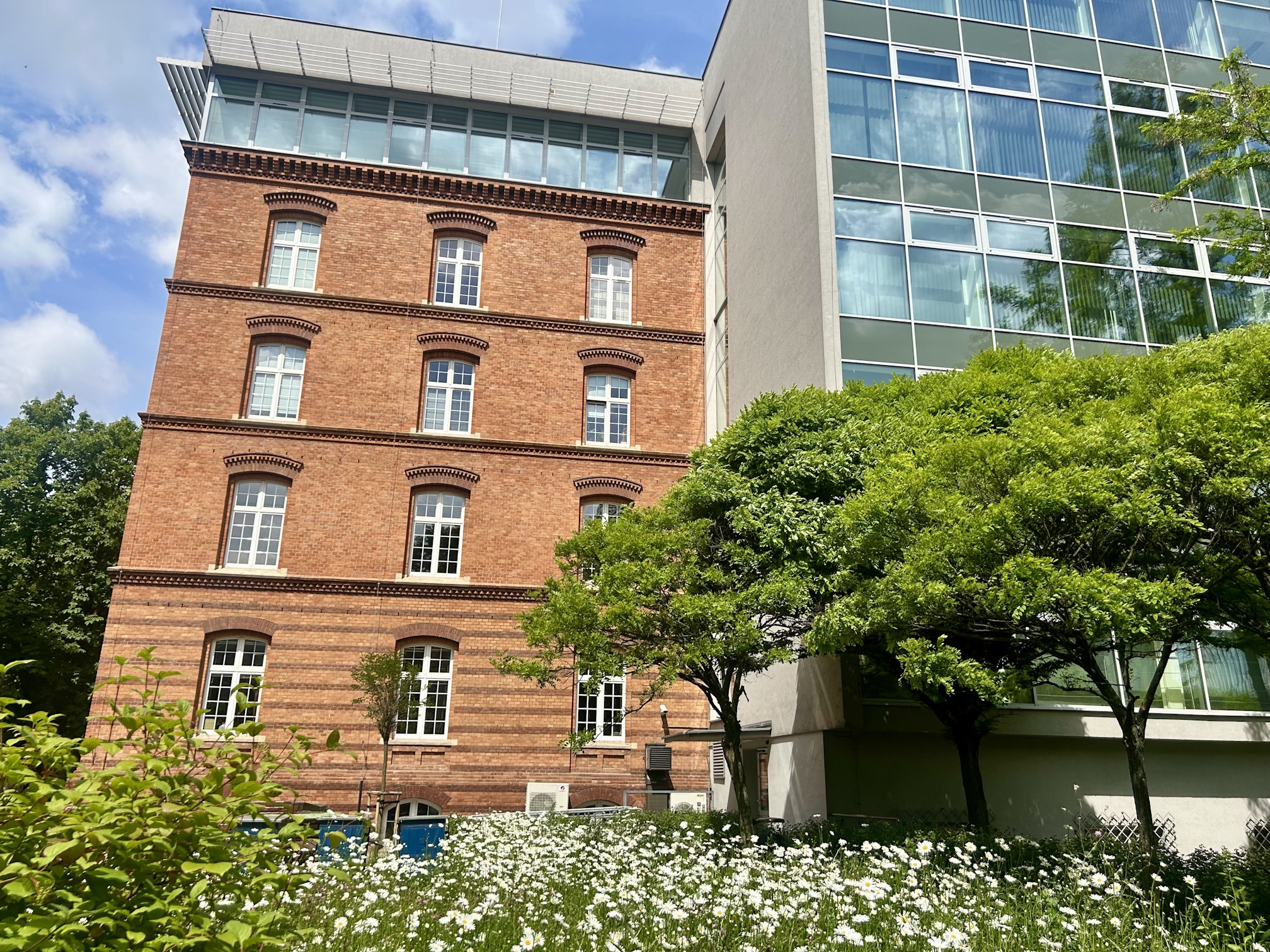 Ogłoszenie o konkursie na stanowisko asystenta badawczo-dydaktycznego w Katedrze Technologii Środowiskowych (Ś-4)