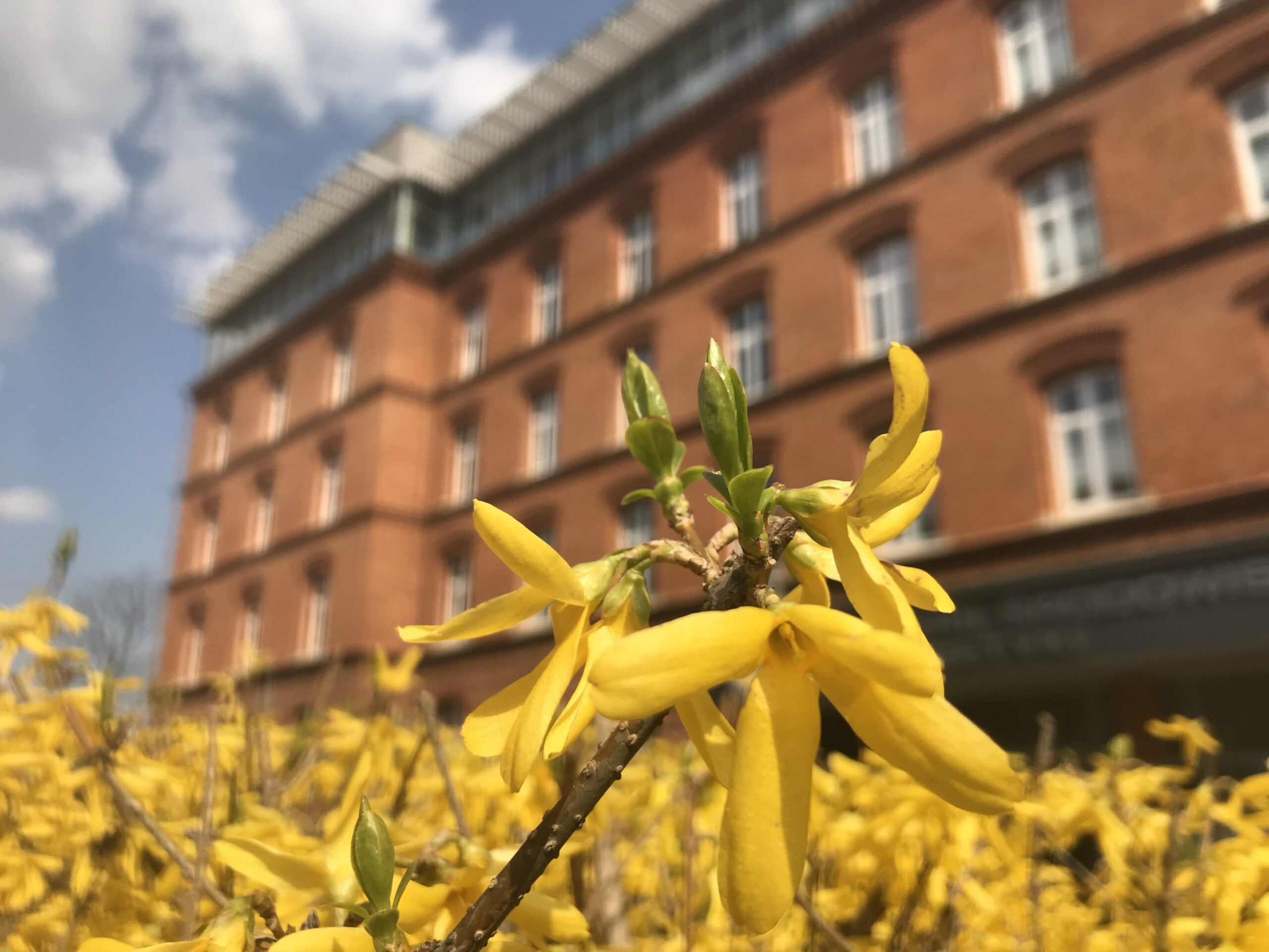 Dziekanat WIŚiE PK i Dziennik podawczy 20-21 kwietnia nieczynne
